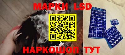 прущие грибы Ковров