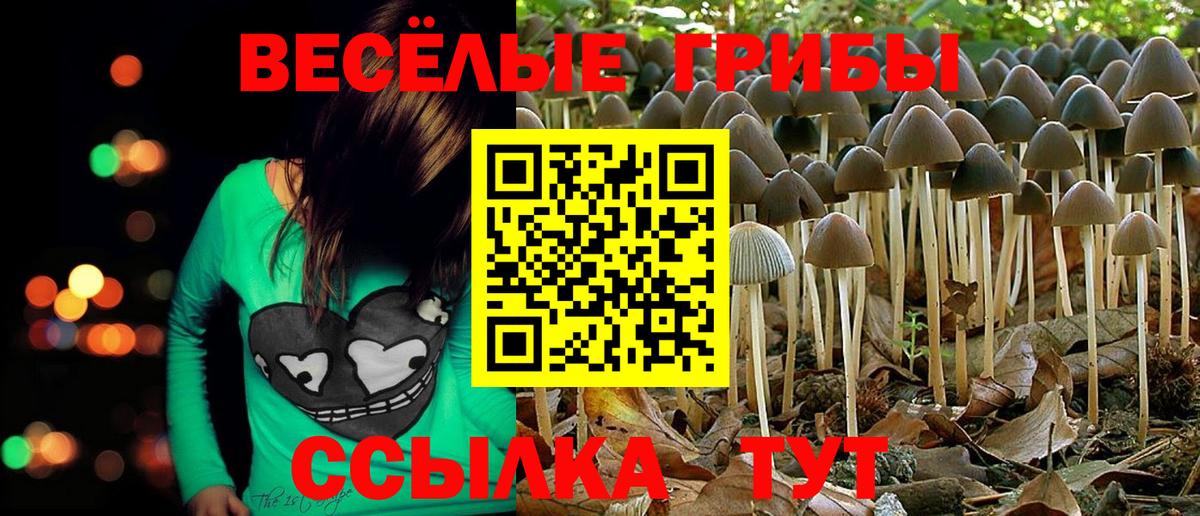 Галлюциногенные грибы Magic Shrooms Вольск
