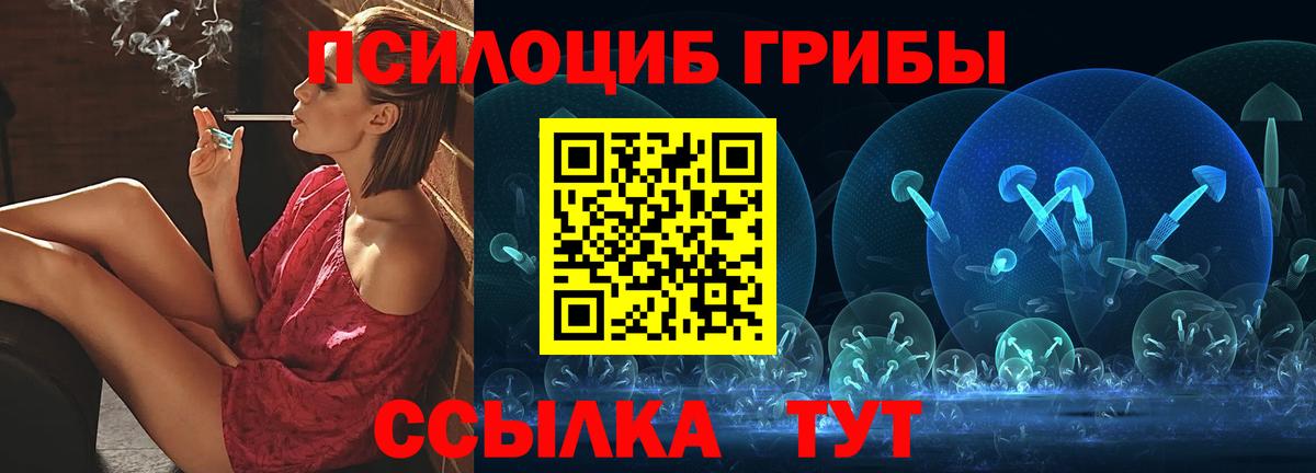 Вольск  Галлюциногенные грибы Psilocybine cubensis  Вход с VPN  Галлюциногенные грибы Psilocybine cubensis 